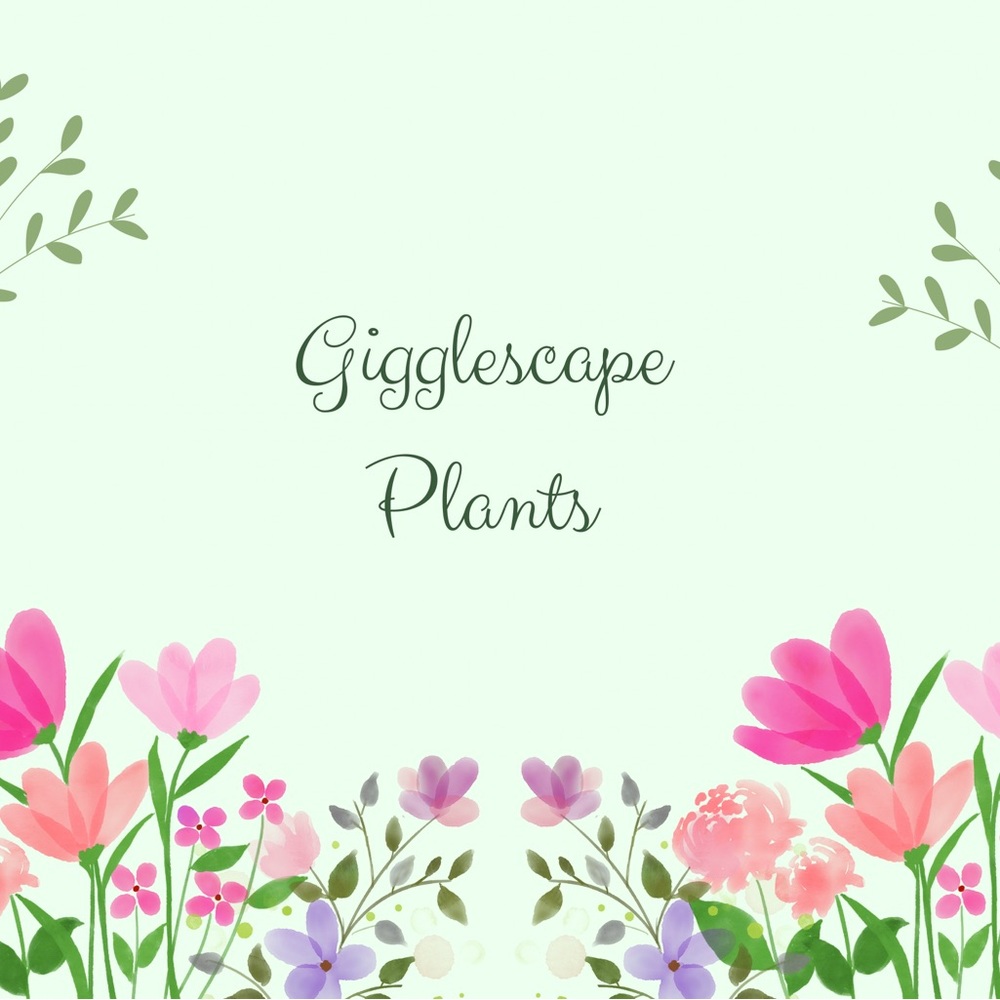 Gigglescape Plants